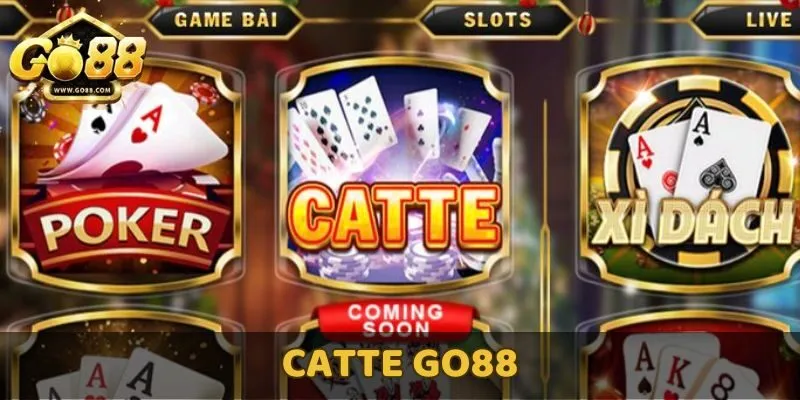 Catte GO88