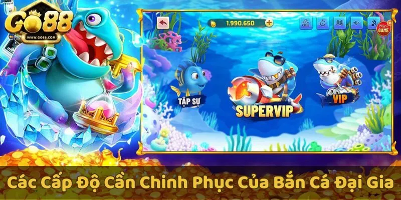 Các cấp độ thú vị trong Bắn Cá Đại Gia - Từ sơ cấp đến Super VIP